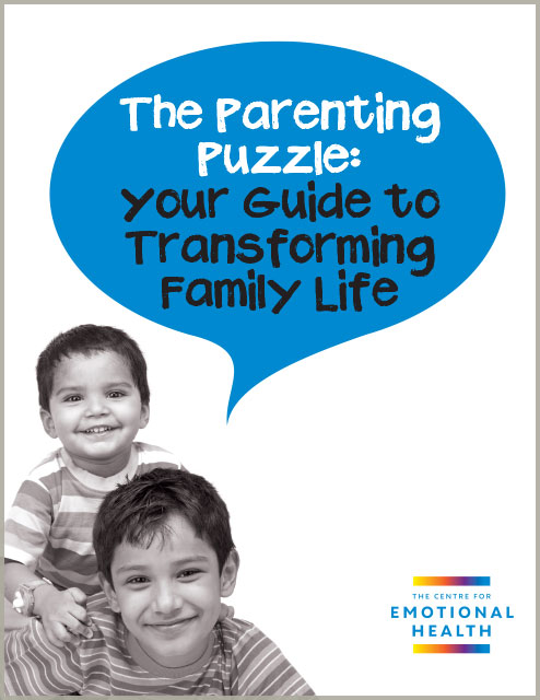 Family Links: The Parenting Puzzle Book