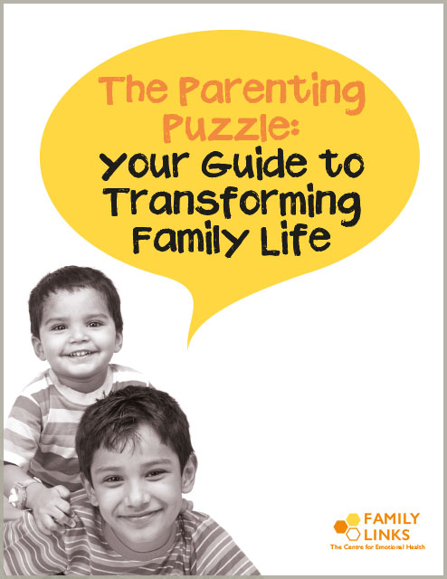 Family Links: The Parenting Puzzle Book